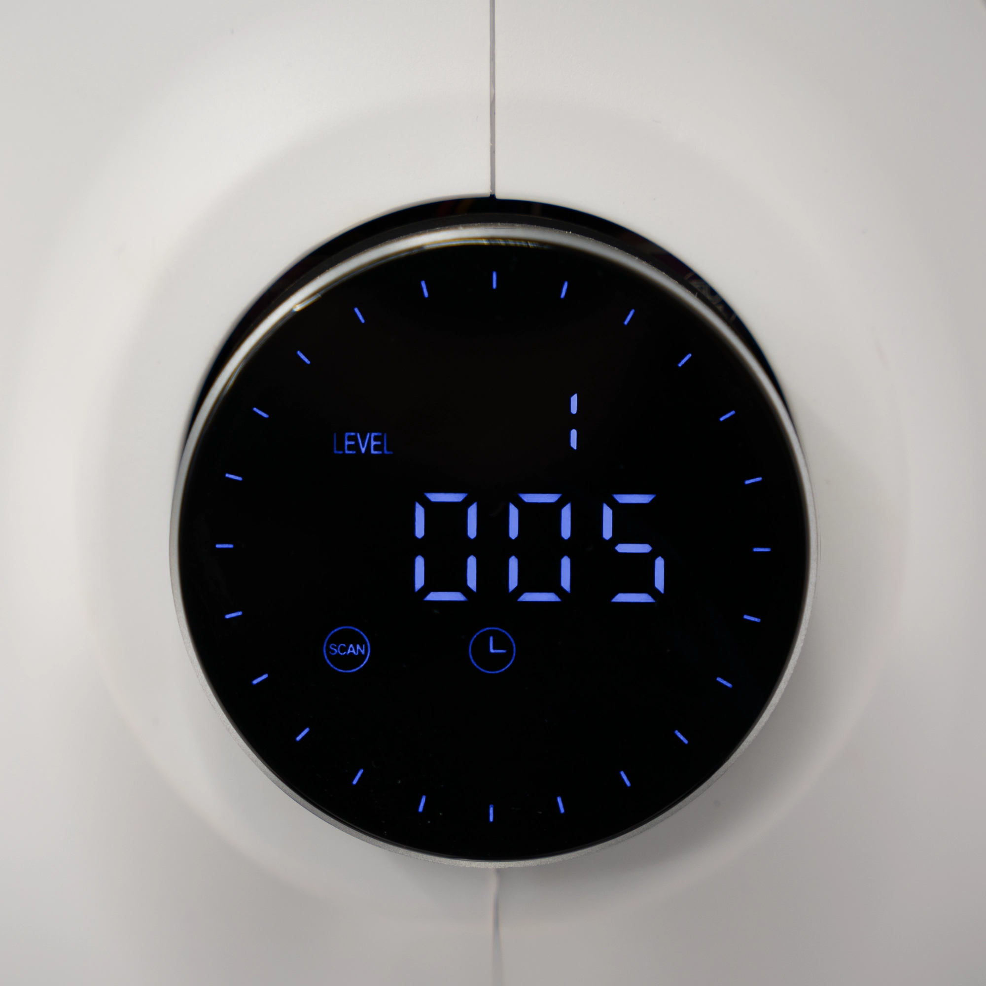 Гребной тренажер Svensson Body Labs Wheelo