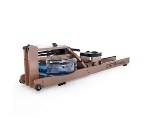 Гребной тренажер DFC GTGYM Frank