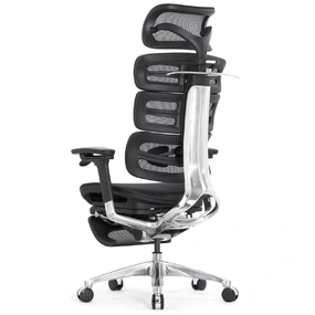 Эргономичное кресло Falto Evolution с подножкой (тихие вставки, управление на подлокотниках, сетка, чёрный)