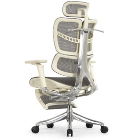 Анатомическое кресло Falto Fly 2 с подножкой (динамичный подголовник, подлокотники 6D (360), сетка, светлый)