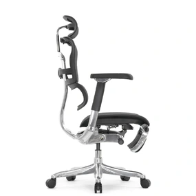 Эргономичное кресло Falto Ergohuman 2 Luxury с подножкой (SmartWork, алюминий, наклон вперёд, сетка, чёрный)