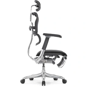 Эргономичное кресло Falto Ergohuman 2 Luxury с подножкой (SmartWork, алюминий, наклон вперёд, сетка, чёрный)