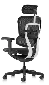 Эргономичное кресло Falto Ergohuman 2 Ultra (наклон вперёд, сетка, чёрный)