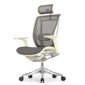 Эргономичное кресло Falto Spring 2 (поясничный валик, подлокотники 6D (360), сетка, светлый)