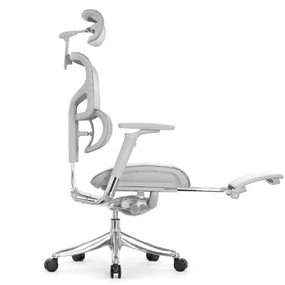 Эргономичное кресло Falto Pro 2 с подножкой (3D поясничный упор, подголовник 4D, каркас серый, белый)
