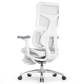 Эргономичное кресло Falto Scala Office с подножкой (разделённый поясничный упор, сетка, каркас белый, серый)