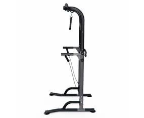 Турник/пресс/брусья DFC G007G